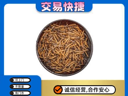 保定定州市高价回收散虫草