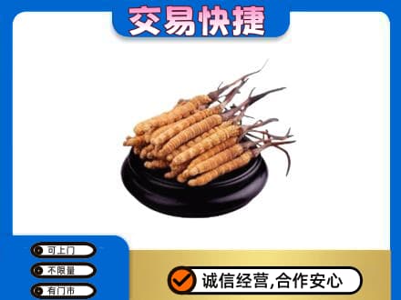 保定定州市回收冬虫夏草多少钱每克